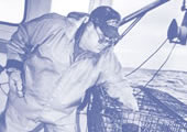 Imagen de un pescador de langosta mientras trabaja en alta mar
