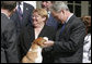 President George W. Bush meets Uno, the 2008 Westminster Kennel Club's Best in Show, during the beagle's visit Monday, May 5, 2008, in the Rose Garden of the White House. White House photo by Joyce N. Boghosian