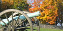 Cannon with fall colors