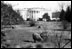 To cut groundskeeping costs during World War I, President Woodrow Wilson (1913-21) brought a flock of sheep to trim the White House grounds. Included in the flock was Old Ike, a tobacco-chewing ram. 