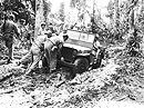 A Jeep Stuck in Guadacanal Island Mud