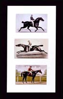 Race Horses by Currier & Ives