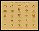 Insignia of Branch or Arm of Service