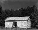 Negro cabin, Hale County, Alabama