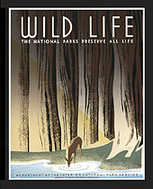 Wild Life - The National Parks Preserve All Life