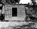 Chicken house on the farm of Floyd Burroughs, cotton sharecropper, Hale County, Alabama