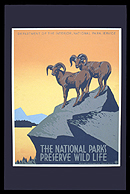 The National Parks Preserve Wildlife