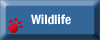 Refuge Wildlife Link