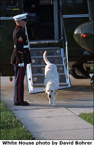 Dave the dog departs Marine 2 and returns to his home at the Naval Observatory. White House photo by David Bohrer.