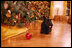 Barney finds a red Christmas decoration on the State Floor of the White House, while looking at all the holiday decorations Wednesday. Nov. 28, 2007.