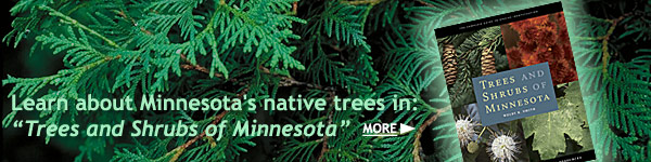 image of the book Trees and Shrubs of Minnesota