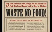 Waste No Food