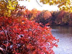 Photo: Autumn colors on Clopper Lake, Seneca Creek State Park, Maryland. NOAA Central Library