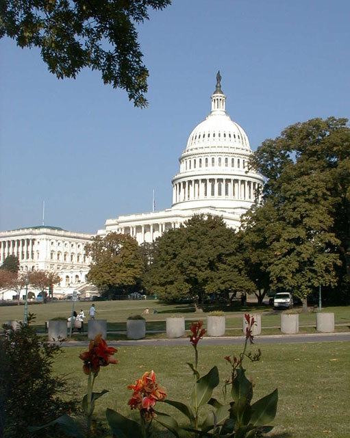 The U.S. Capitol Building