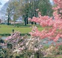 This is an image of Lake Sacagewea Park in Longview, WA.  Click to view the Cowlitz County page in the About the District Section.