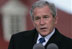 President George W. Bush responds to a question Wednesday, Nov. 7, 2007, during a joint press availability with President Nicolas Sarkozy of France at Mount Vernon. Said the President, "I can't thank the President enough for his willingness to stand with young democracies as they struggle against extremists and radicals. ...France's voice is important and it's clear that the human rights of every individual are important to the world."