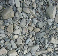 Photo: numerous flat, rounded stones.