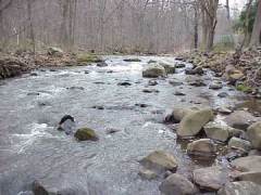 Photo: Creek with small boulders visible.