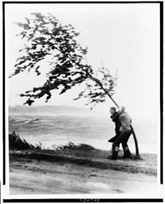 Photo : two people hang onto a tree during a hurricane.