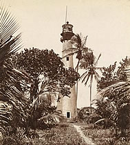 Photos of lighthouse among palm trees.