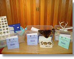 Photo of several discovery boxes / Photo credit: U.S. Fish and Wildlife Service