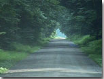 Photo of a road / Photo credit: U.S. Fish and Wildlife Service