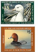 Photo of duck stamps