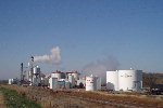 Amaizing Energy, a 40-million gallon ethanol plant located just outside Denison, Iowa