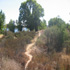 2007 Coastal Cleanup Hog Island