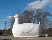 [photo] Contact Us - Big Duck, NY