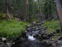 Photograph of Sand Creek approximately 4.3 kilometers northwest of Music Pass trail head, Great Sand Dunes National Park and Preserve, Saguache County, Colorado (site 12, table 1)