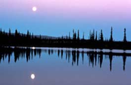  Photo: moon and trees reflected in a lake.