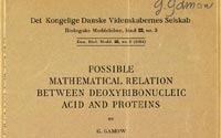 Possible Mathematical Relation Between Deoxyribonucleic Acid and Proteins