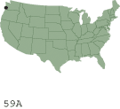 orientation map