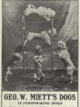 Dog Act. 1921