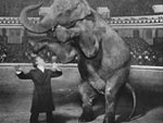 Houdini vanishing an elephant. 1918