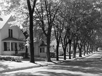 Residential street, Elgin, Illinois