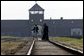 President Bush and Mrs. Bush are escorted across railroad tracks during a tour of the Birkenau concentration camp in Poland by Auschwitz Museum Senior Curator Dr. Teresa Swiebocka, Saturday, May 31, 2003. White House photo by Paul Morse