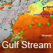 Gulf Stream Project
