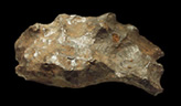 Photo of a meteorite of various shades of grey  with some rust coloring on its surface.