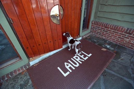 Spot arrives for a meeting at Laurel Cabin at Camp David, Feb. 23, 2001. White House photo by Eric Draper.