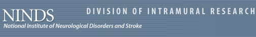 National Institute of Neurological Disorders and Stroke – Division of Intramural Research