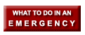 What to do in an Emergency: On Campus Dial 911, Off-Campus Dial 9-911