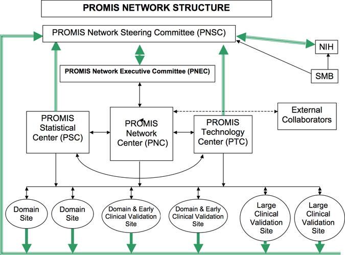 PROMIS Network Structure