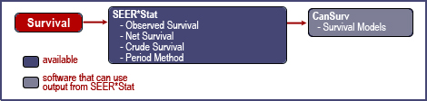Diagram of Cancer Survival Methods and Software