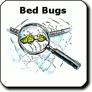 Bed Bug Cartoon