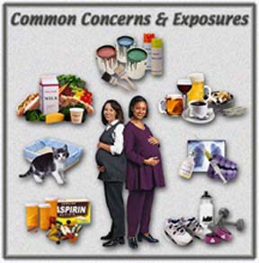 Several common concerns and environmental exposures that may affect pregnant women