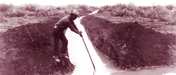 A Pima Indian man doing farm work.