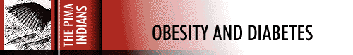 Obesity section Header