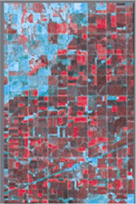 A Landsat infrared image
